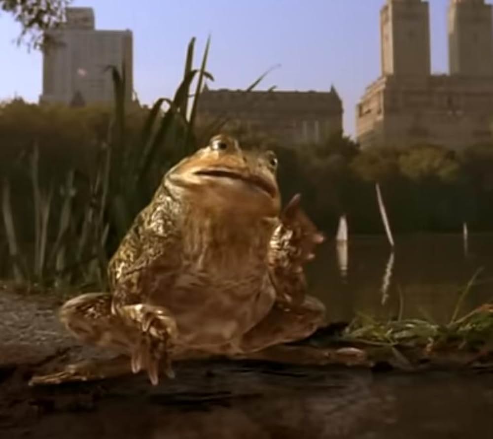 フロッグ・プリンス カエルの王子さまの画像