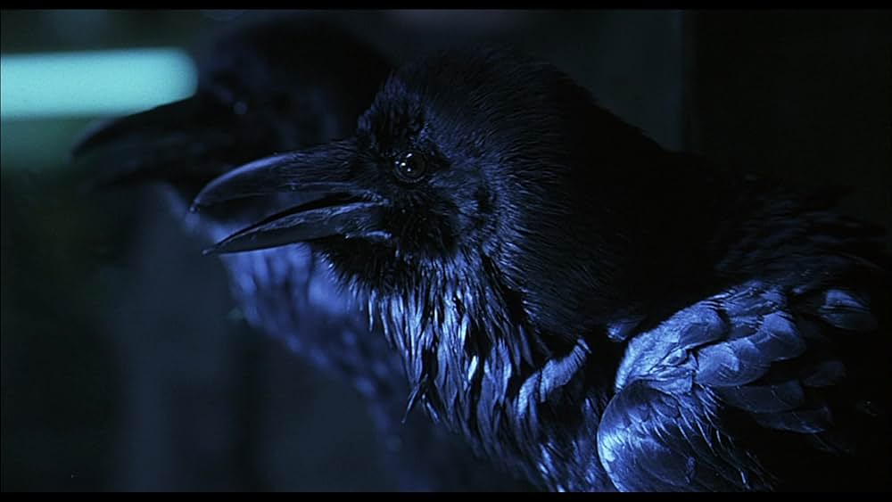 クロウ 復讐の翼の画像