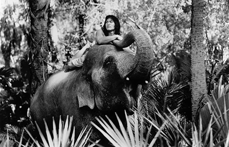 「ジャングル・ブック」ジェイソン・スコット・リーの画像