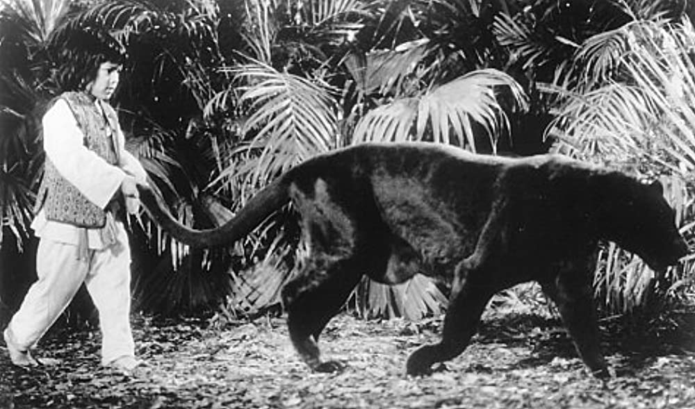 「ジャングル・ブック」の画像