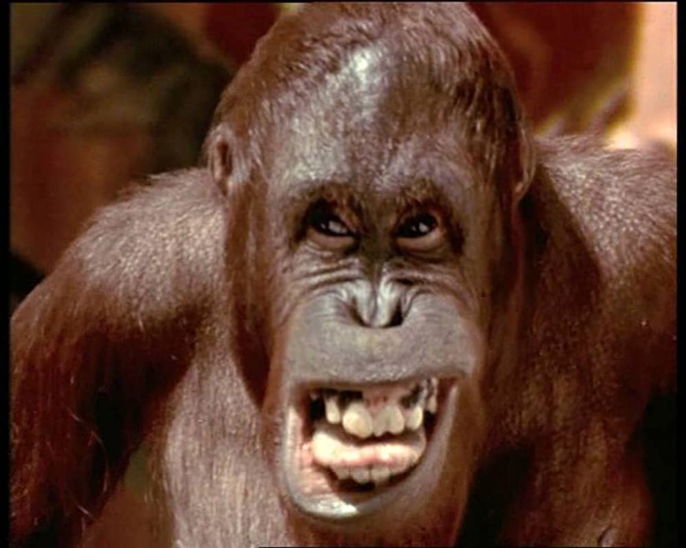 「ジャングル・ブック」の画像