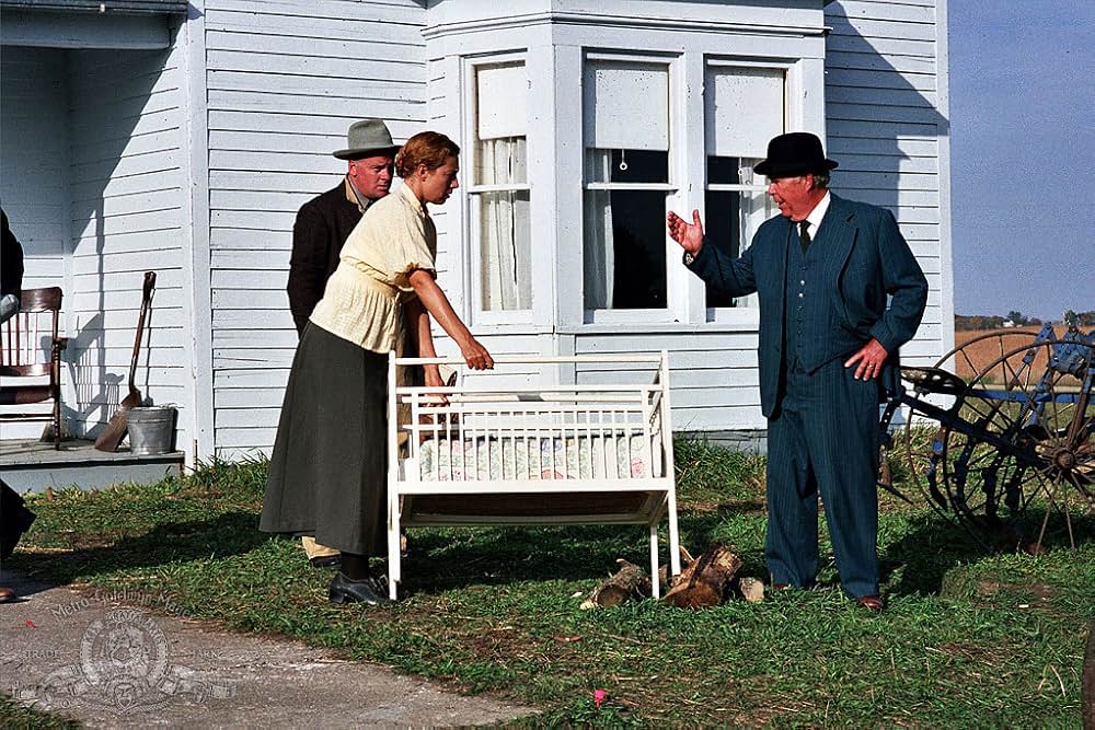 スウィートランド（原題）の画像