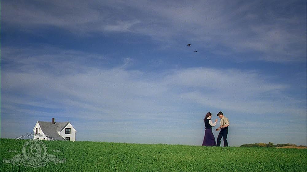 スウィートランド（原題）の画像