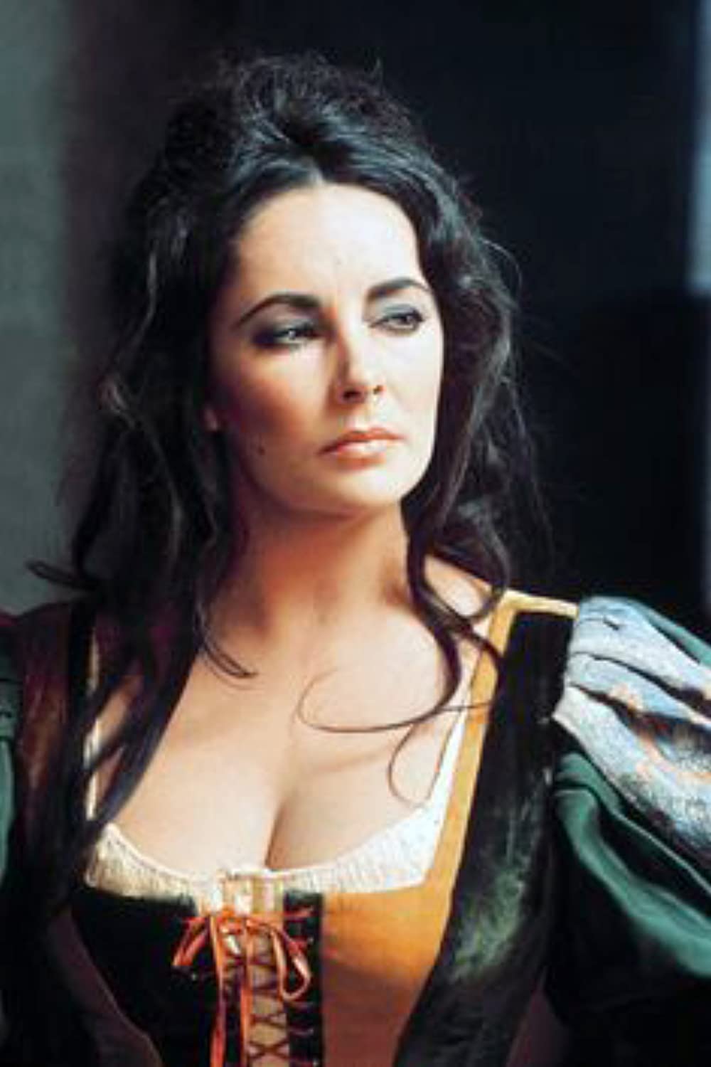 「じゃじゃ馬ならし」エリザベス・テイラーの画像