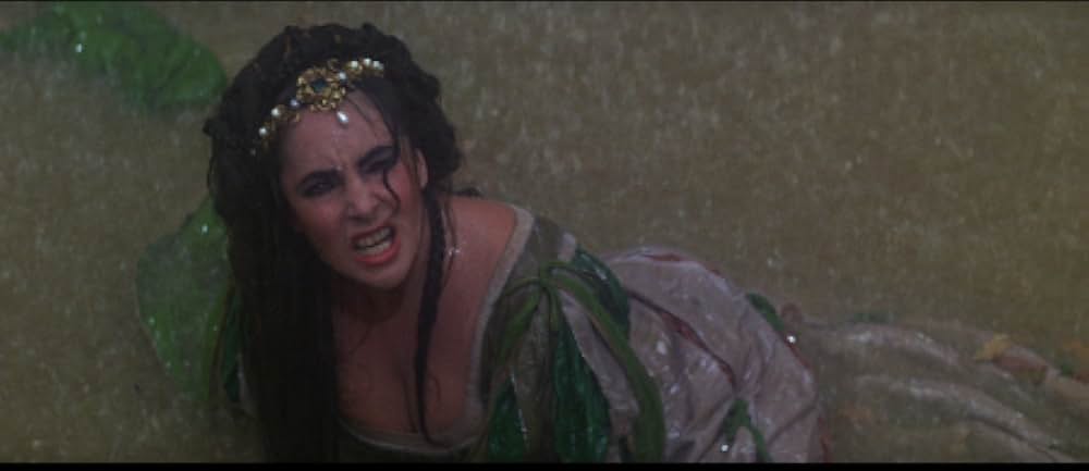 じゃじゃ馬ならしの画像