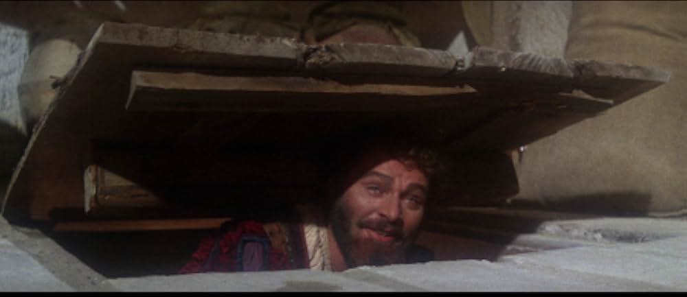 じゃじゃ馬ならしの画像