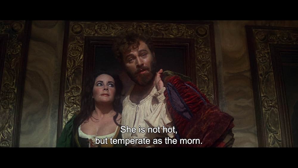 じゃじゃ馬ならしの画像