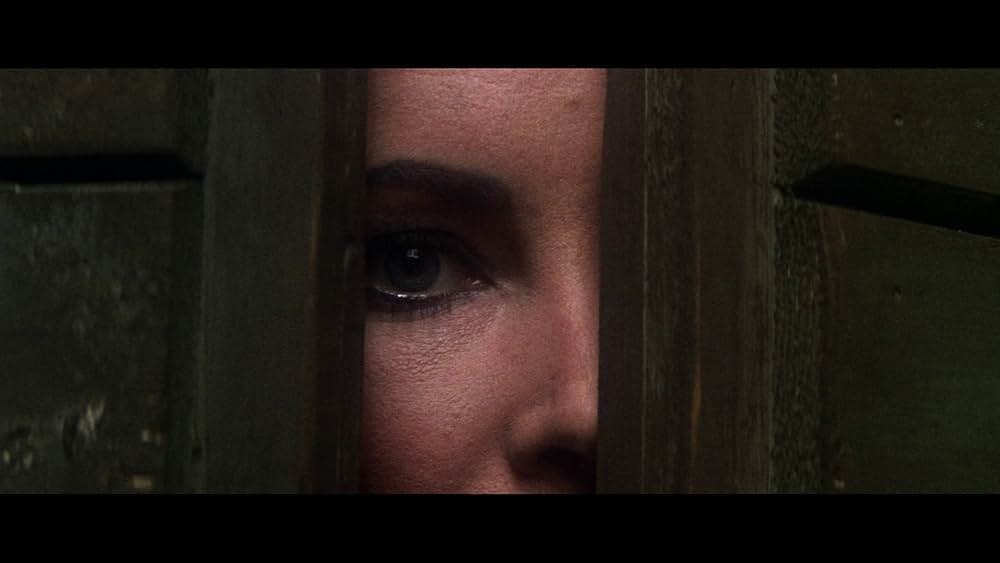 じゃじゃ馬ならしの画像