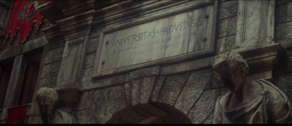 じゃじゃ馬ならしの画像