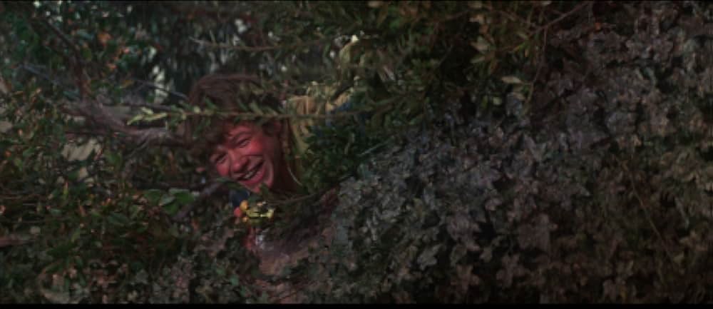 じゃじゃ馬ならしの画像