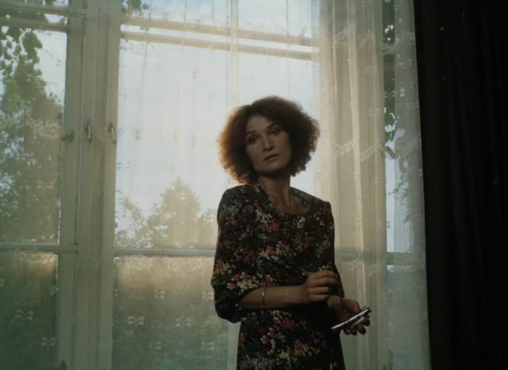 高速ヴァンパイアの画像