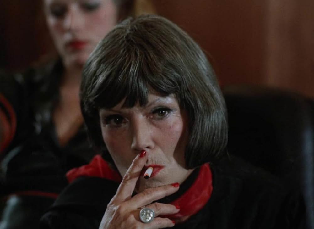 高速ヴァンパイアの画像