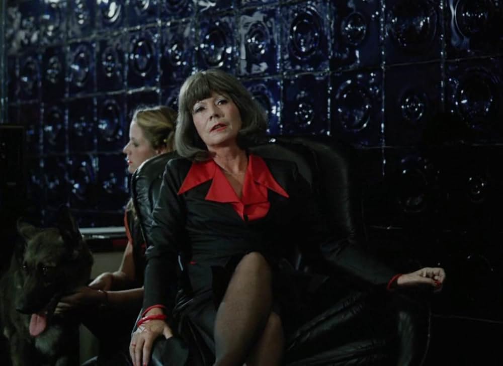 高速ヴァンパイアの画像