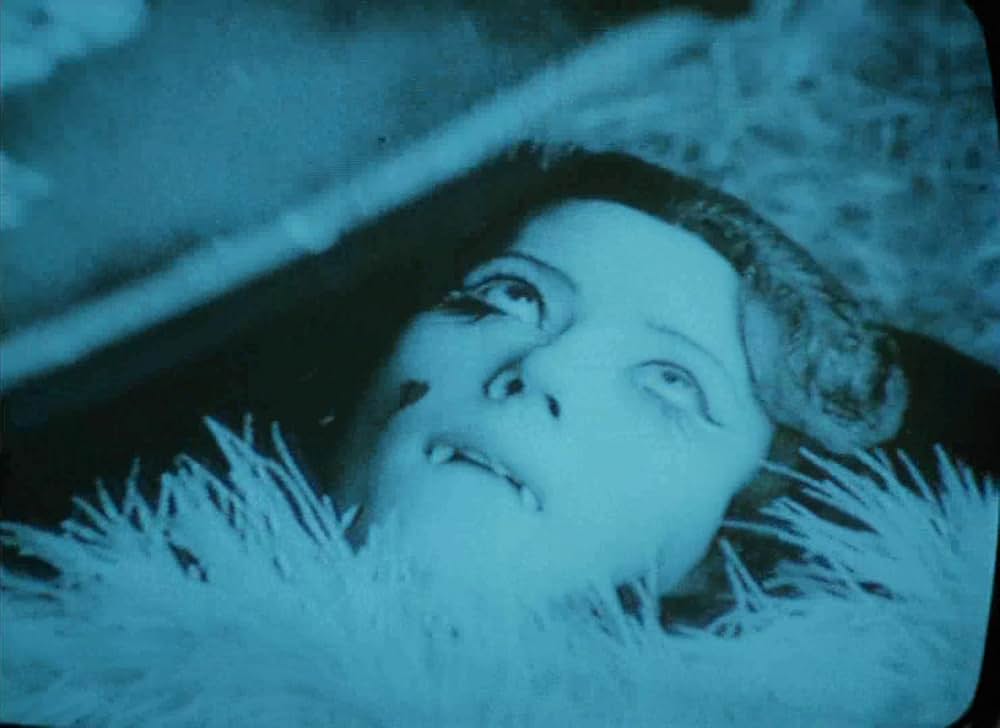 高速ヴァンパイアの画像