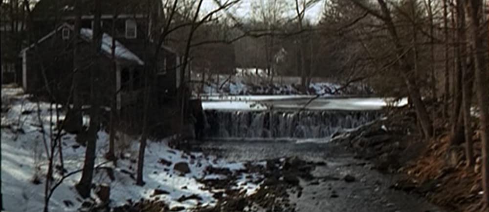 哀愁の花びらの画像