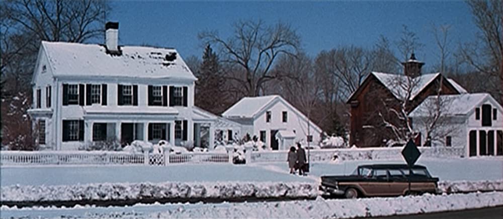 哀愁の花びらの画像