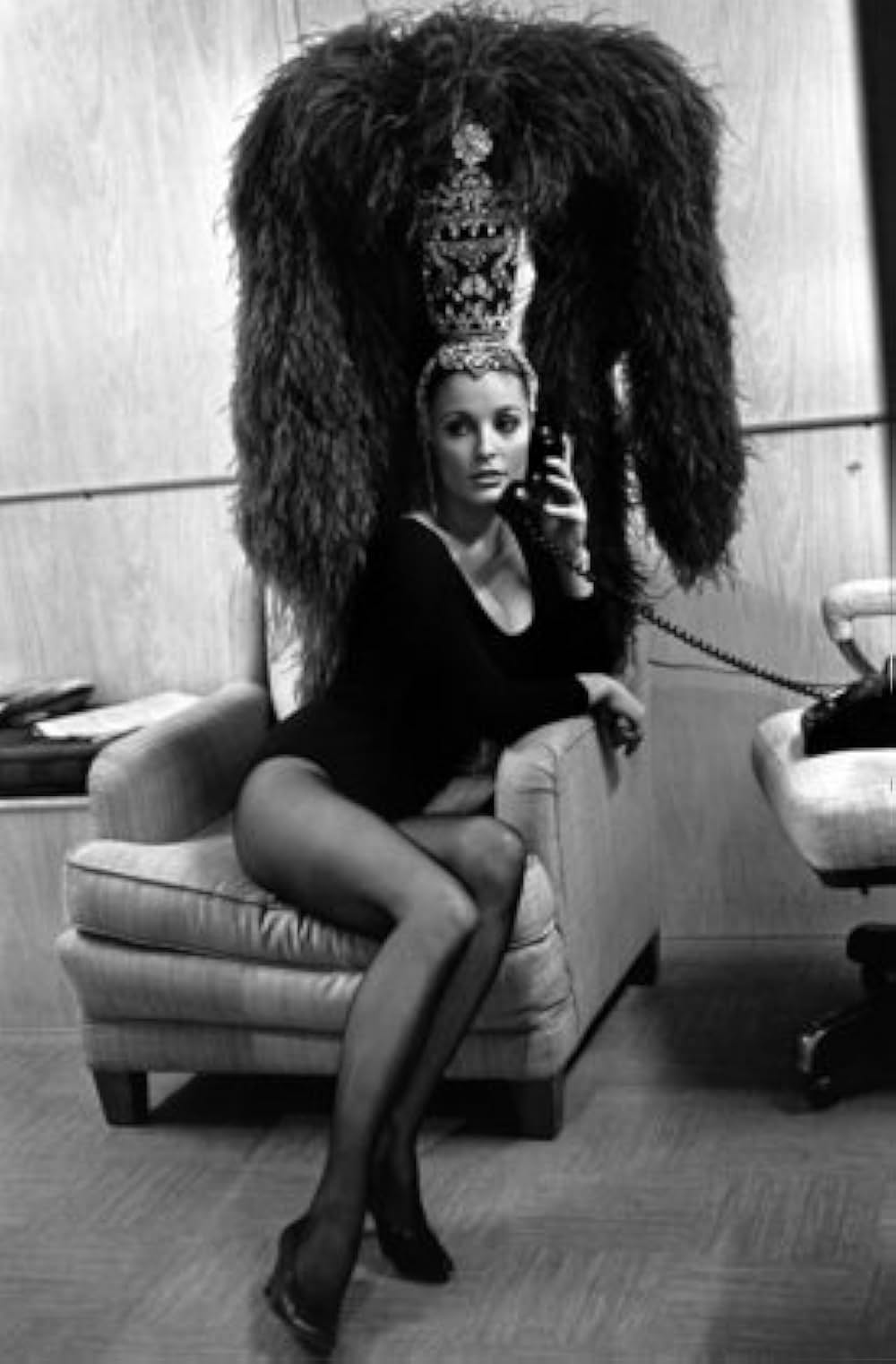 哀愁の花びらの画像