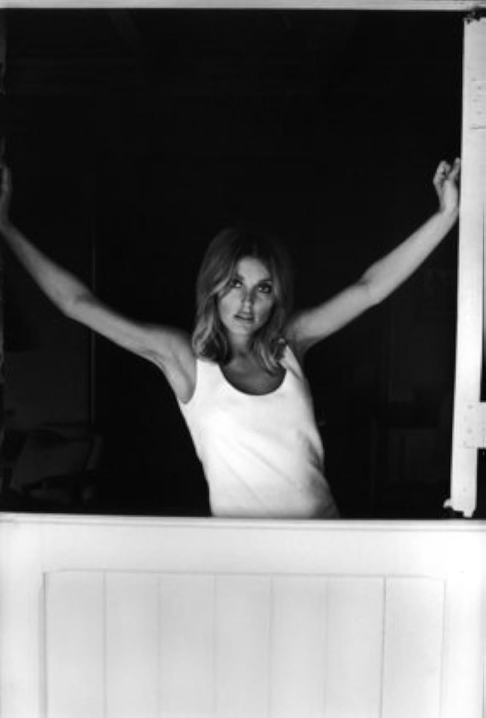 哀愁の花びらの画像