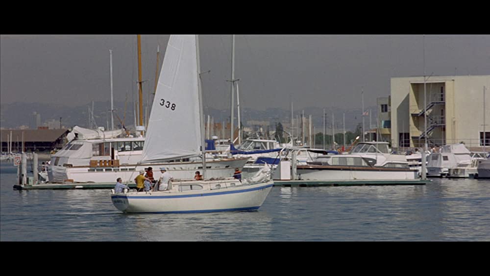 ワイルド・パーティーの画像