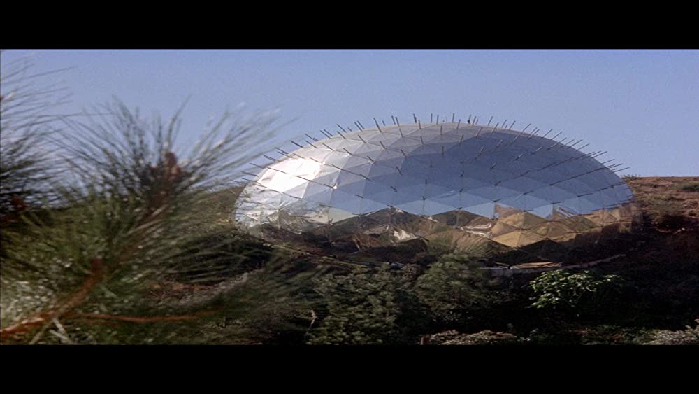 ワイルド・パーティーの画像