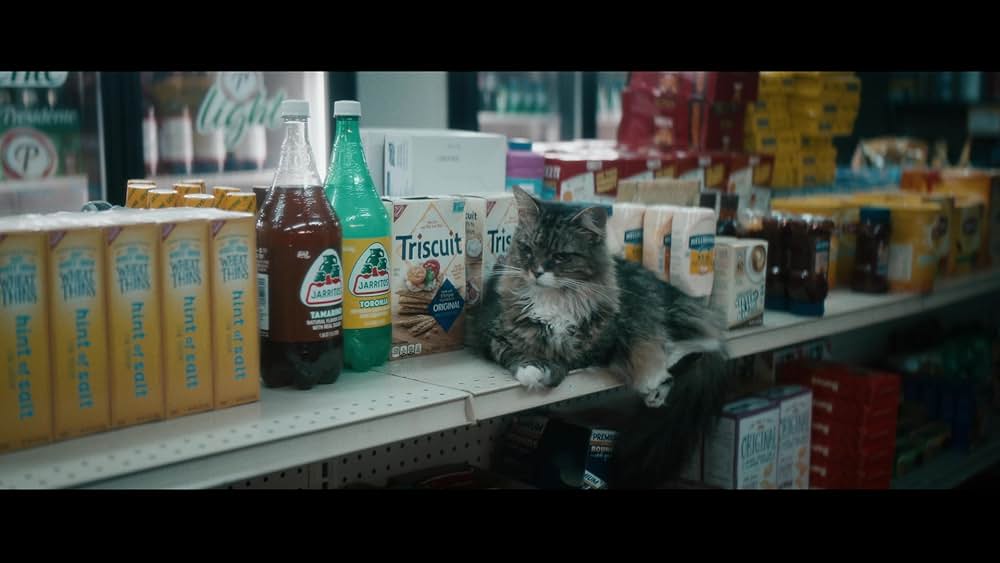 ヴァンパイアvsザ・ブロンクスの画像