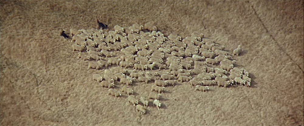 遥か群衆を離れての画像