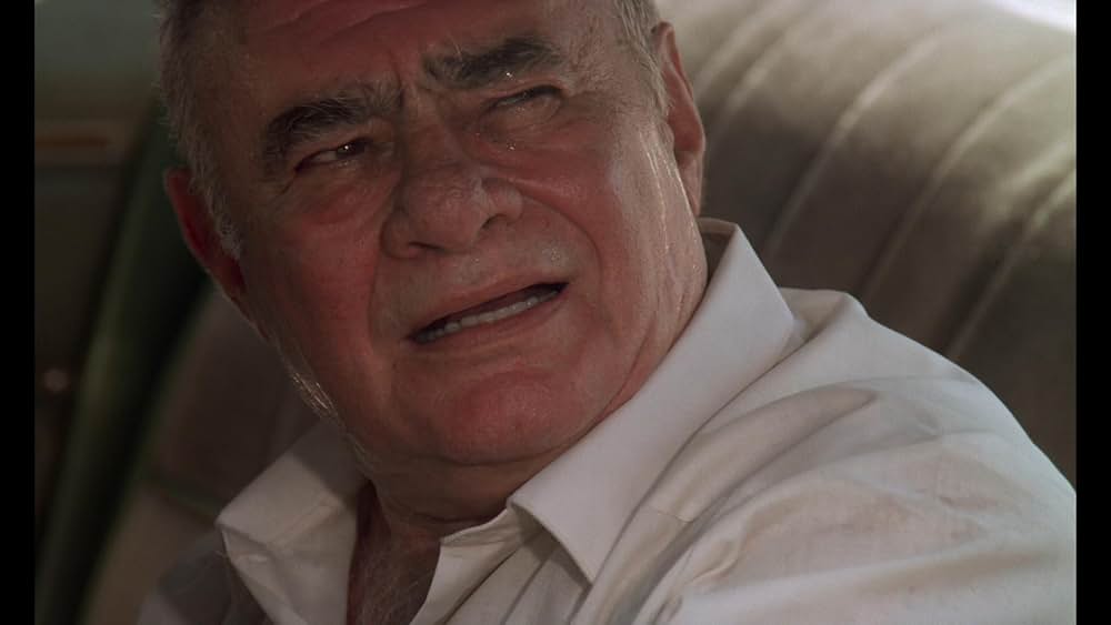 怒りのタッチダウン／人質奪回作戦の画像