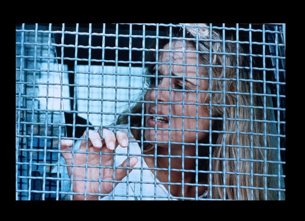 怒りのタッチダウン／人質奪回作戦の画像