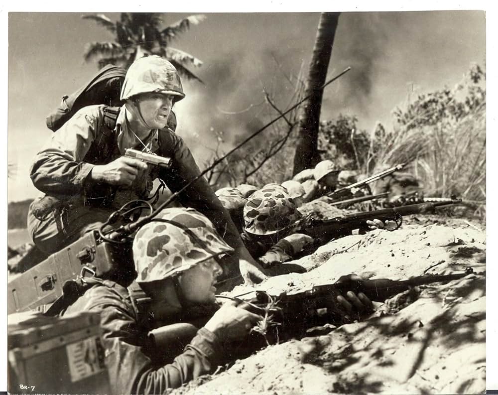 ビーチレッド戦記の画像