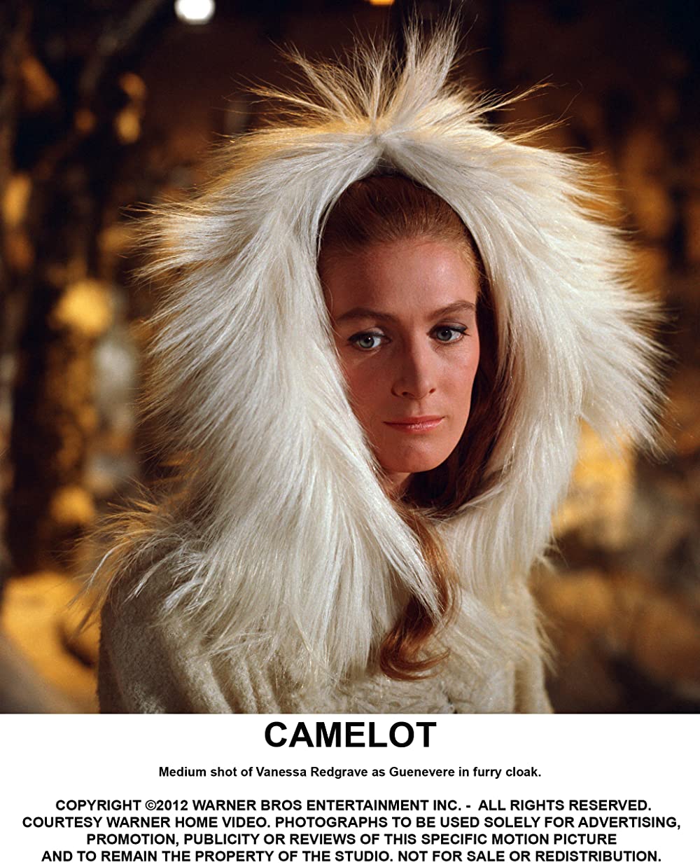 キャメロットの画像