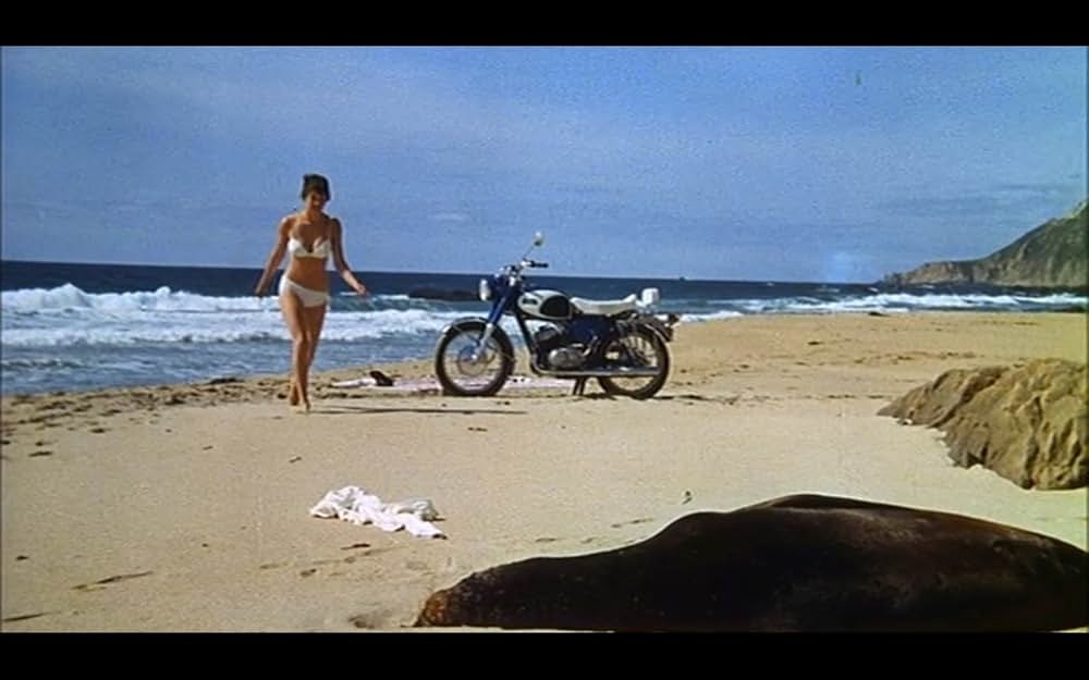 地獄の天使の画像