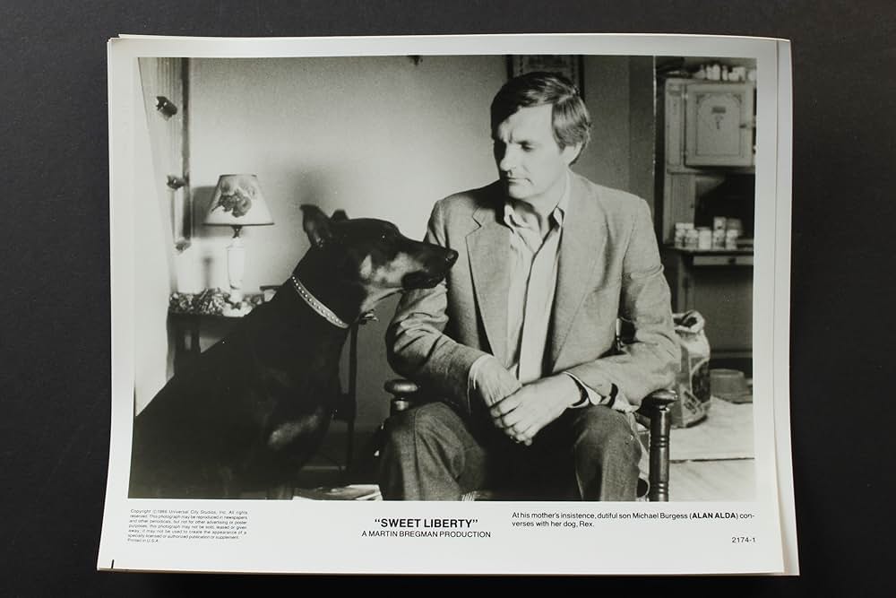 くたばれ！ハリウッドの画像