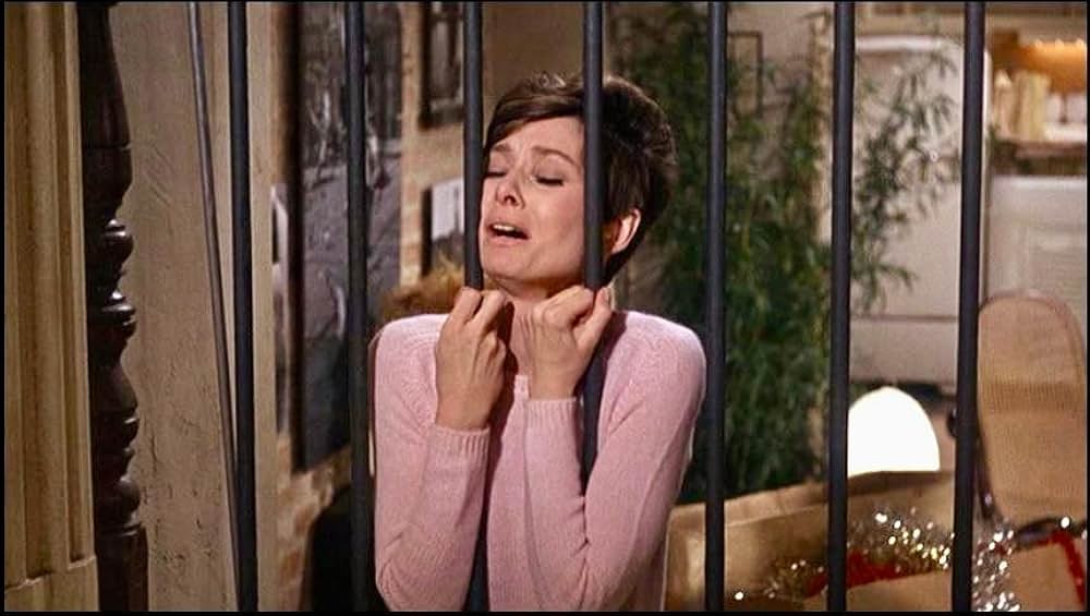 暗くなるまで待っての画像