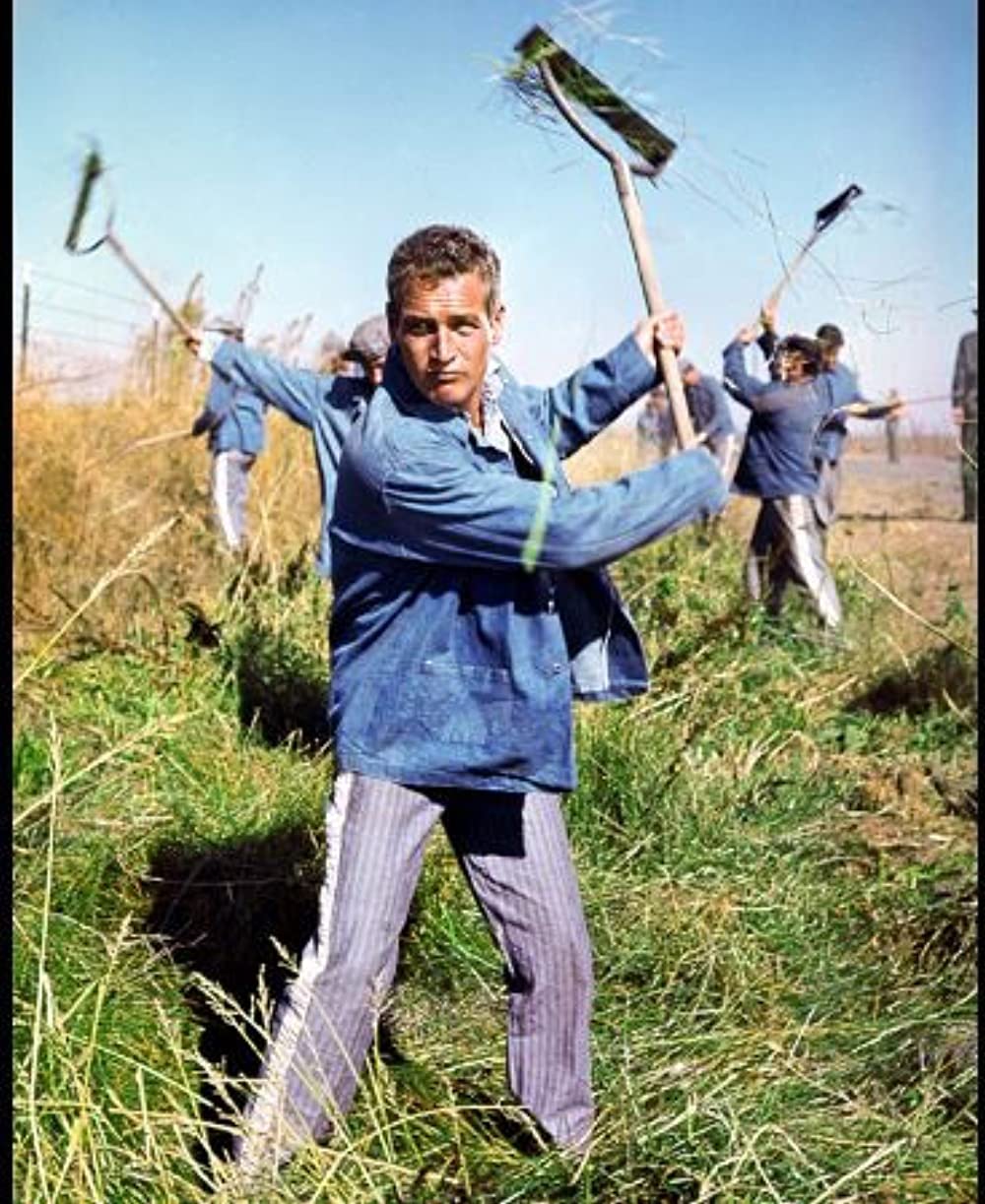 「暴力脱獄」ポール・ニューマンの画像