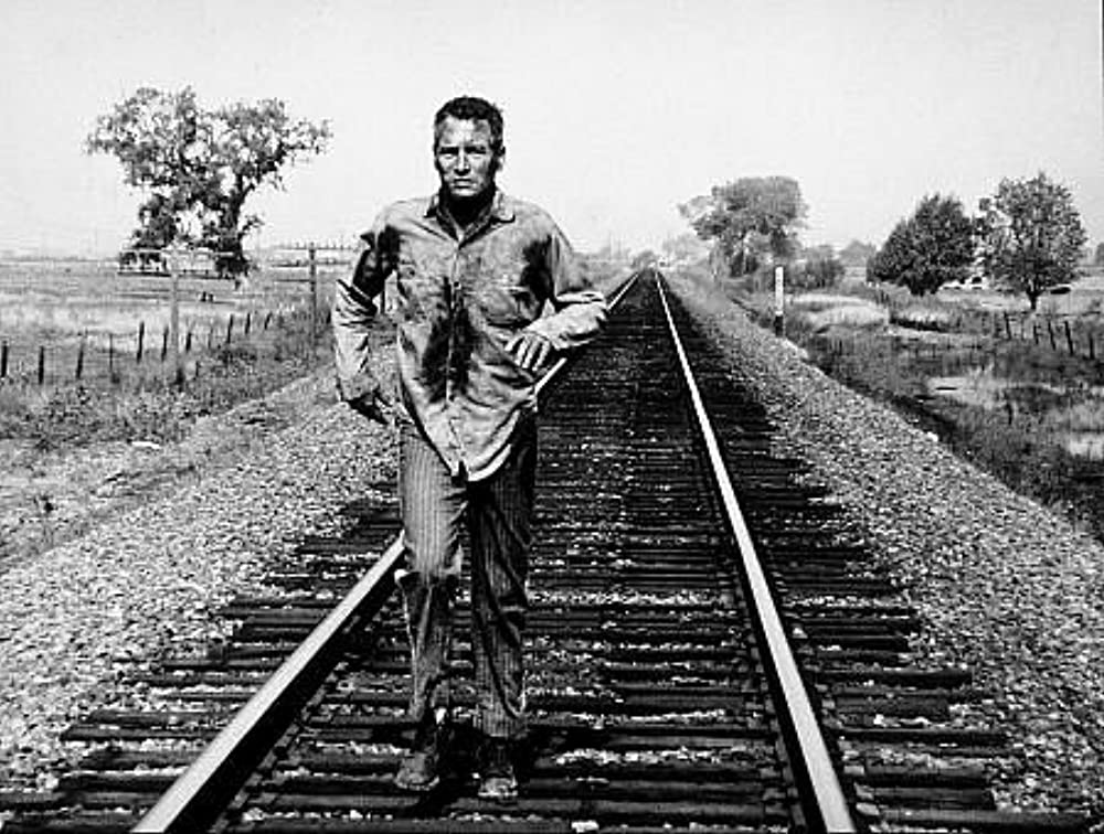 「暴力脱獄」ポール・ニューマンの画像