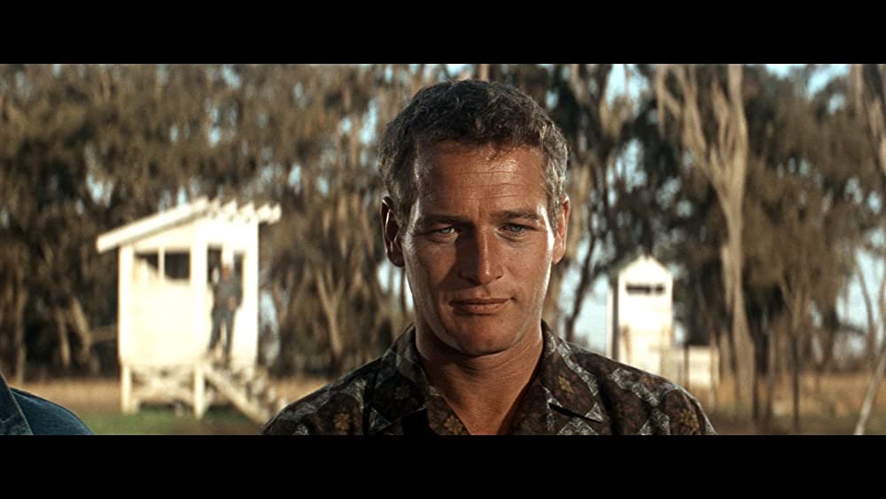 暴力脱獄の画像