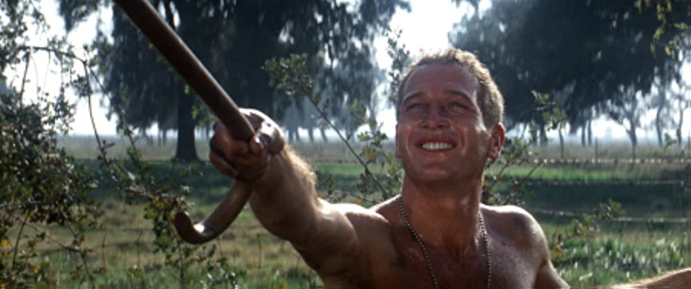 暴力脱獄の画像