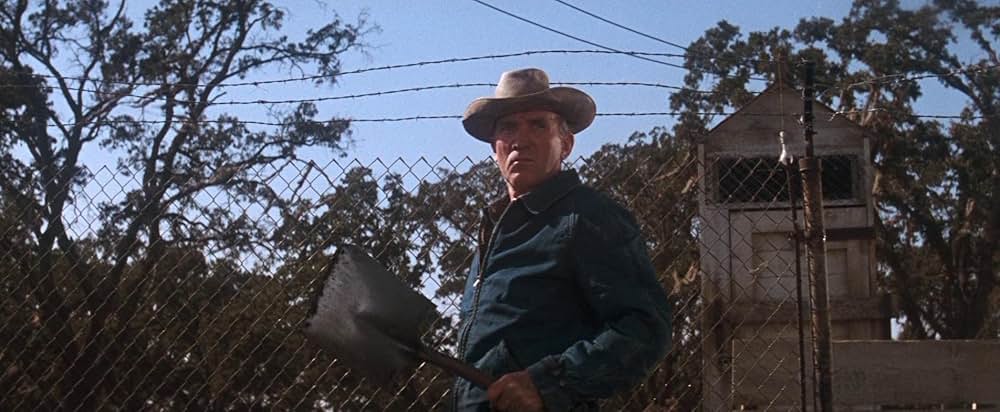 暴力脱獄の画像