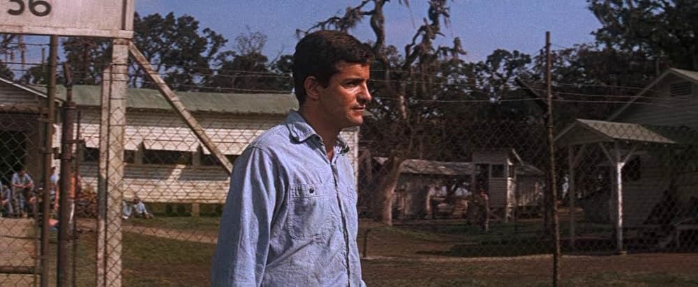 暴力脱獄の画像