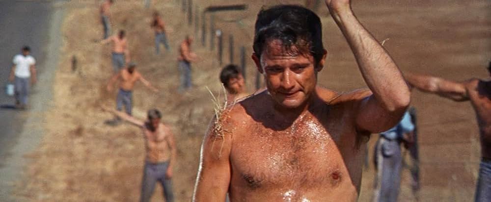 暴力脱獄の画像