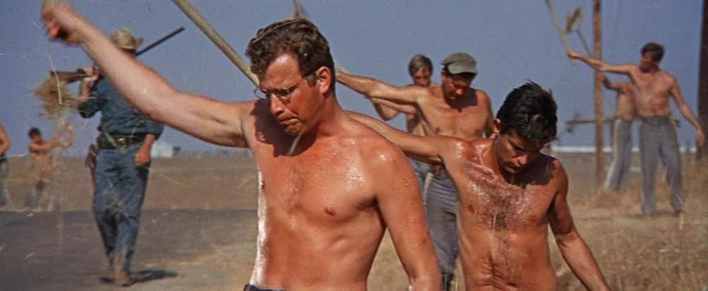 暴力脱獄の画像