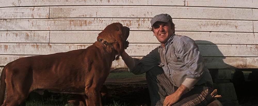 暴力脱獄の画像