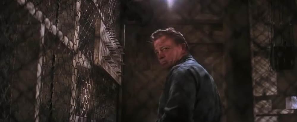 暴力脱獄の画像