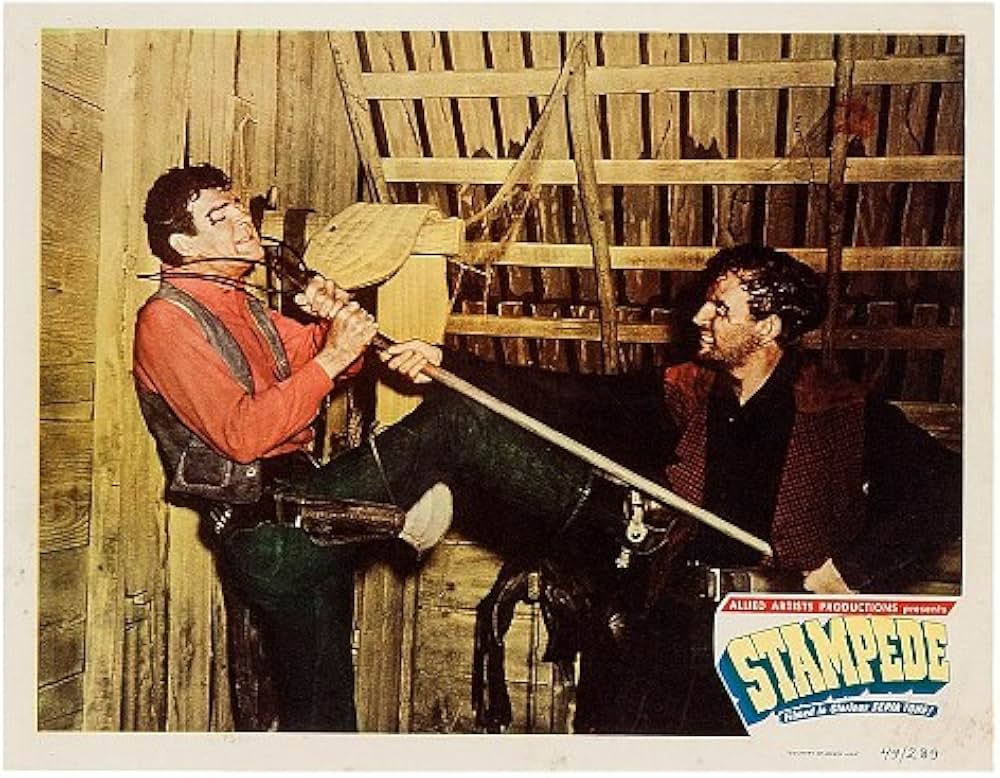 荒くれ男の画像