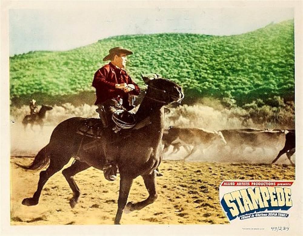 荒くれ男の画像