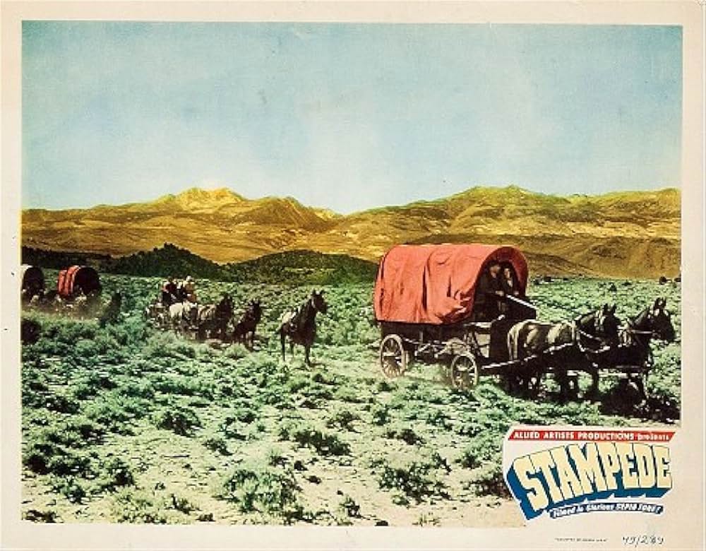 荒くれ男の画像