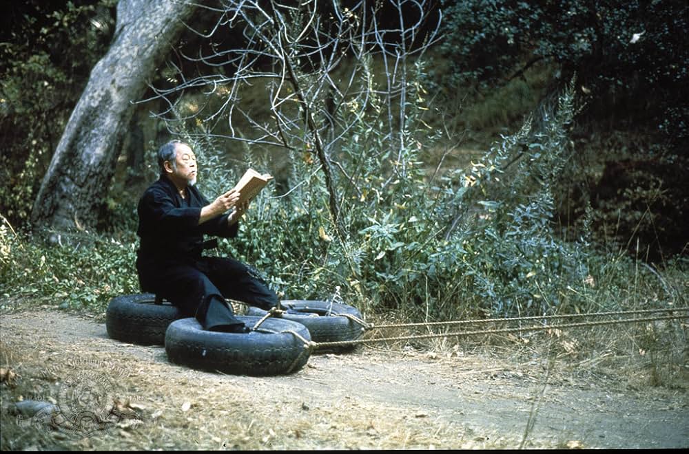 クロオビキッズの画像