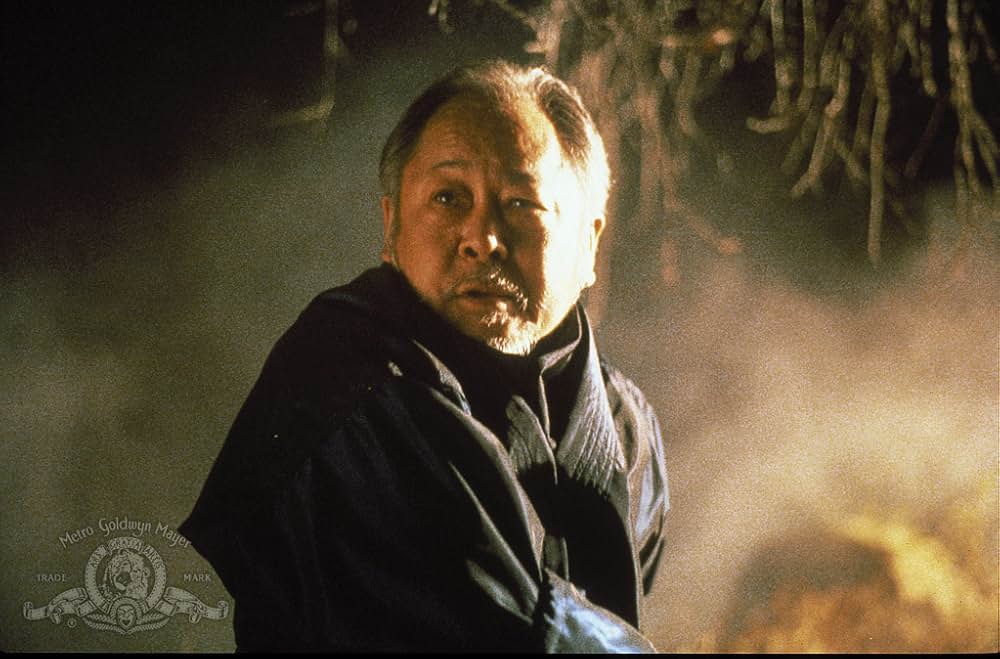 クロオビキッズの画像