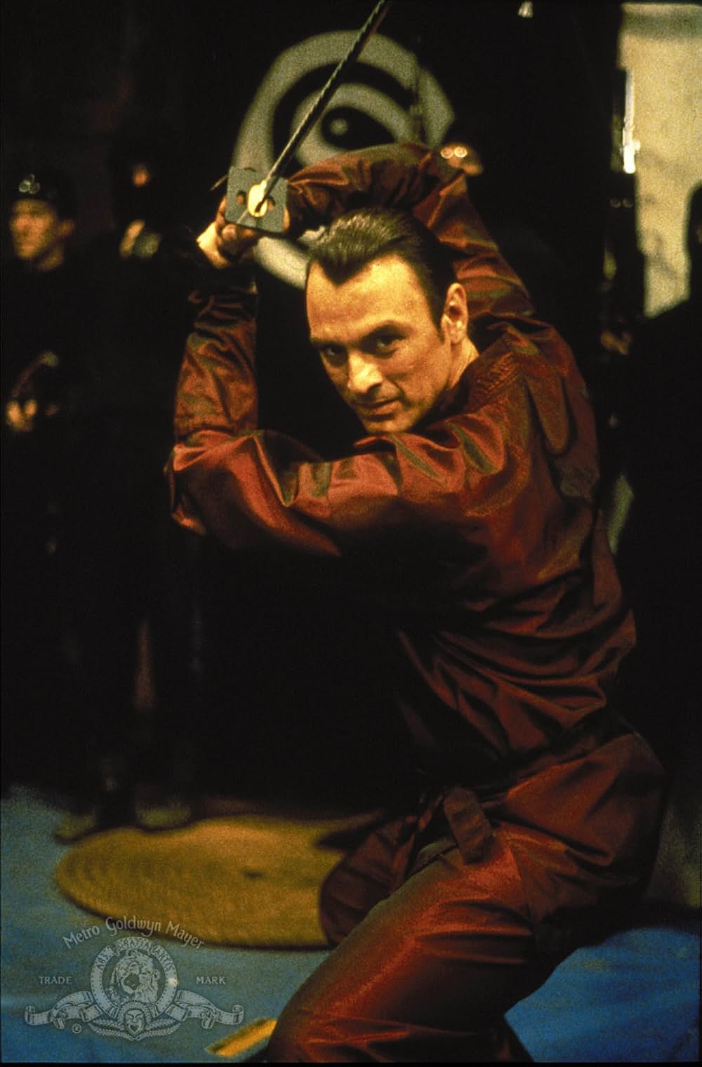 クロオビキッズの画像