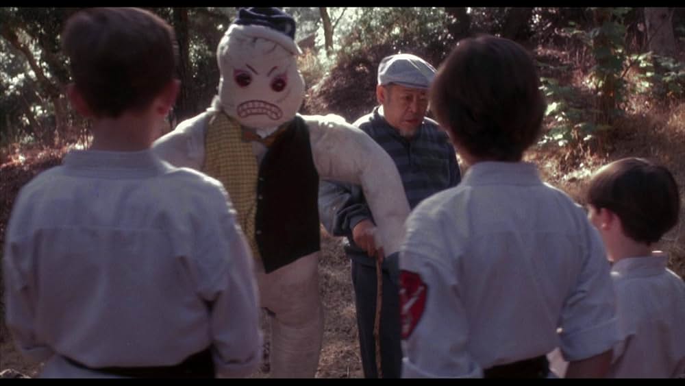 クロオビキッズの画像